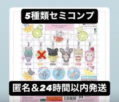 JOCHUM めじるしアクセサリー 2 セミコンプ