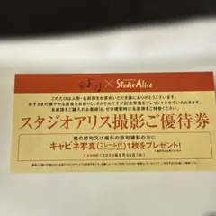 スタジオアリス撮影ご優待券のサムネイル