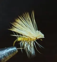 2026年最新】ドライフライの人気アイテム - メルカリ