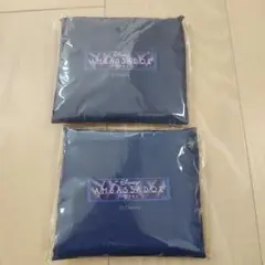 Item thumbnail for item 363789ca-a8fa-492b-a97d-db7a5ee58859