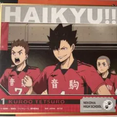 一番くじ　ハイキュー！！ゴミ捨て場の決戦　F賞　色紙 黒尾鉄朗