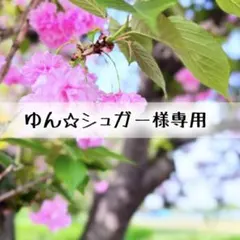 ゆん☆シュガー様専用 おまとめ3点