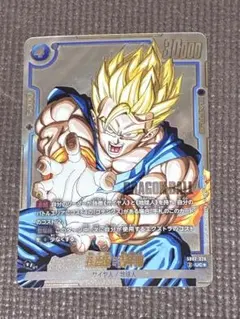 孫悟飯:青年期　UC まとめ売り