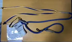 Item thumbnail for item 09eef032-2c79-41c6-9f6a-679245ad6255