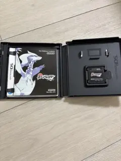 ポケットモンスター　ブラック