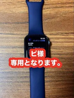 Apple Watch SE（GPSモデル）第1世代- 44mmスペースグレイ