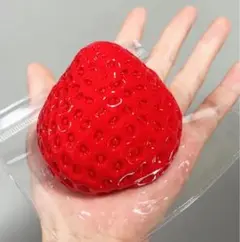 いちご スクイーズ ストロベリー おもちゃ