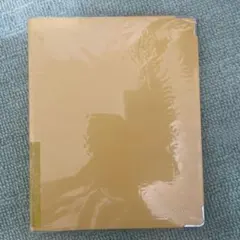 Item thumbnail for item 39a91600-3697-4559-ab80-e15c4dc6fe41