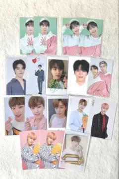 【SEVENTEEN】トレカ ディノ17枚