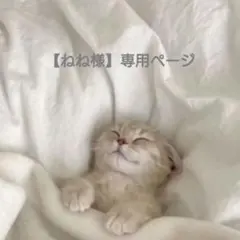 ねね様【専用ページ】8点おまとめ