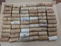 Item thumbnail for item 9911d782-4e6a-447c-83a6-a4e85236c3de