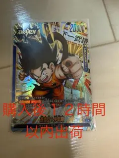 孫悟空 リーダーパラレル