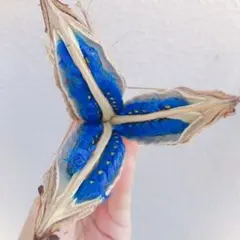 Item thumbnail for item 7bd0c042-f95f-407e-863c-13a60db93bfc