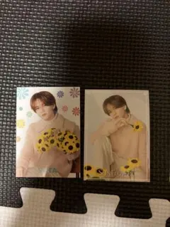FANTASTICS SUNFLOWER フォトカ ード中島颯太