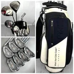 本格派 メンズゴルフクラブ 12本 フルセット ゴルフセット 豪華 お試しセット