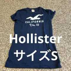 hollister Tシャツ