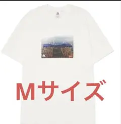 Supreme Nike ACG Grid Tee 