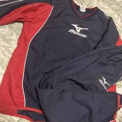 ピステ バレーボール