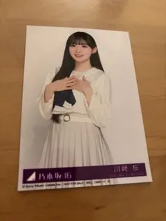 み*ん様 川崎桜 生写真 My respect アルバム 封入 乃木坂46 - メルカリ