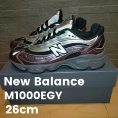 New balance 　M1000EGY パープル/シルバー 26cm