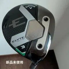 Item thumbnail for item 96a28d72-ccdd-436d-983c-c31433debb6e