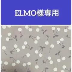 Item thumbnail for item 94b99cb3-d97e-4961-abce-4118c140264b