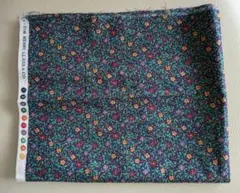 Item thumbnail for item 81ad13d6-7bc5-4ce2-937a-5578f83392fb