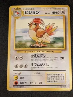 旧裏　マークなし　ポケモンカード　ピジョン ★ 第1弾拡張パック