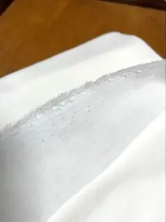 ダブルガーゼ2枚　ホワイト　生地　布　ハンドメイド　コットン　無地　1m×2点
