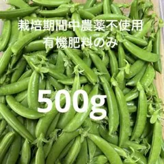 5/26収穫・発送】絹さやえんどう 500g 福島県産 - メルカリ