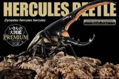 2026年最新】いきもの大図鑑プレミアムの人気アイテム - メルカリ