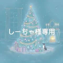 しーちゃ様専用ページ