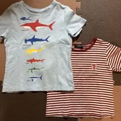 GAP コムサ Tシャツ 2枚セット 90cm 95cmのサムネイル
