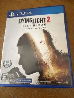 DYING LIGHT2