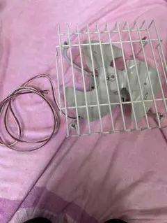 Item thumbnail for item 5f0a3703-59d3-42b6-9c98-35e360ac3db1