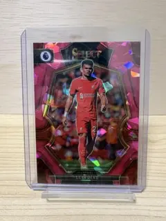 Item thumbnail for item 683172b8-f8d0-4d5b-b810-88c41f869b20