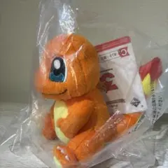 一番くじ ポケモン C賞 カントー地方 30周年 ぬいぐるみ ヒトカゲ