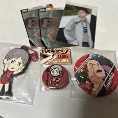 ハイキュー キャラナップコレクション 第3弾 日向翔陽 田中龍之介
