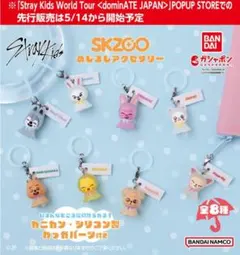 SKZOO めじるしアクセサリー DWAEKKI