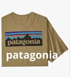59】パタゴニア 半袖Tシャツ 37534 ガーデングリーン Sサイズ - メルカリ