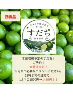 徳島県産 露地すだち 2L 〜3L1キロ入り朝収穫発送します - メルカリ