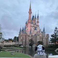ディズニー 101匹わんちゃん ファンキャップ