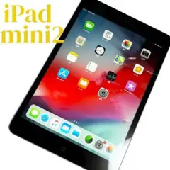 【美品】Apple iPad mini2 32GB 動作確認済 ケース付