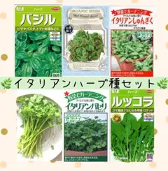 すずきあや様 リクエスト 2点 まとめ商品