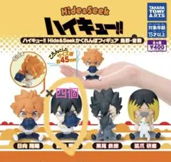 ハイキュー!! Hide&Seekかくれんぼフィギュア ガチャ 影山飛雄4体