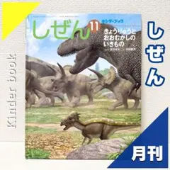 【2点購入150円引】キンダーブック しぜん きょうりゅう『2005年1月号』 2026年最新】キンダーブックしぜん きょうりゅうの人気アイテム - メルカリ