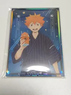 ハイキュー ポートレートコレクション 日向翔陽