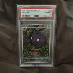 PSA10】【ワンオーナー品】ゴーストAR フルアート - メルカリ