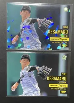 Item thumbnail for item a87be43e-3fbb-410a-8571-8cdb7606b935