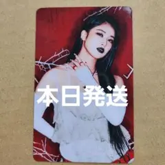 ぴょん吉様 リクエスト 2点 まとめ商品